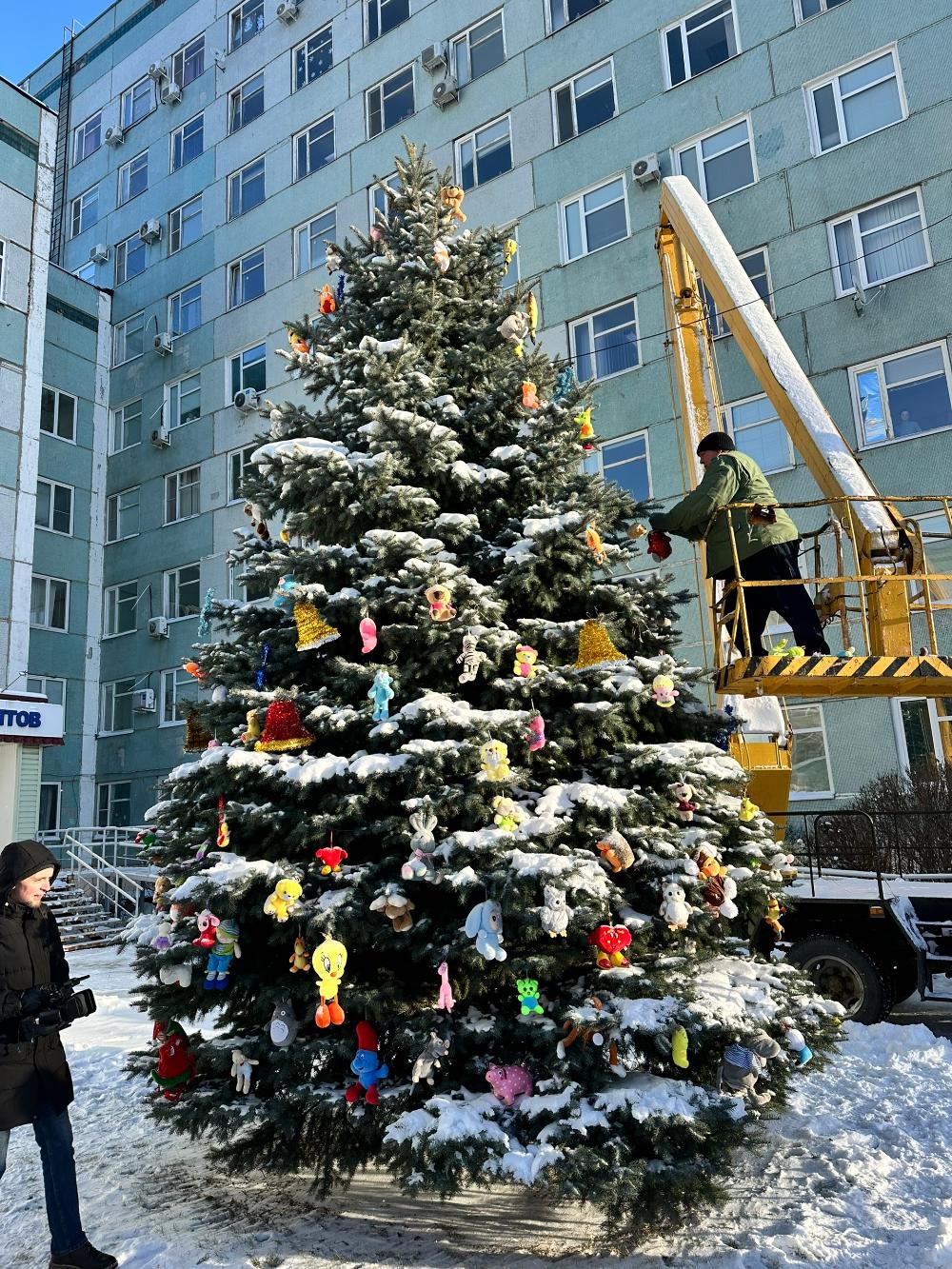 «Елка добра» появилась во дворе онкологического диспансера