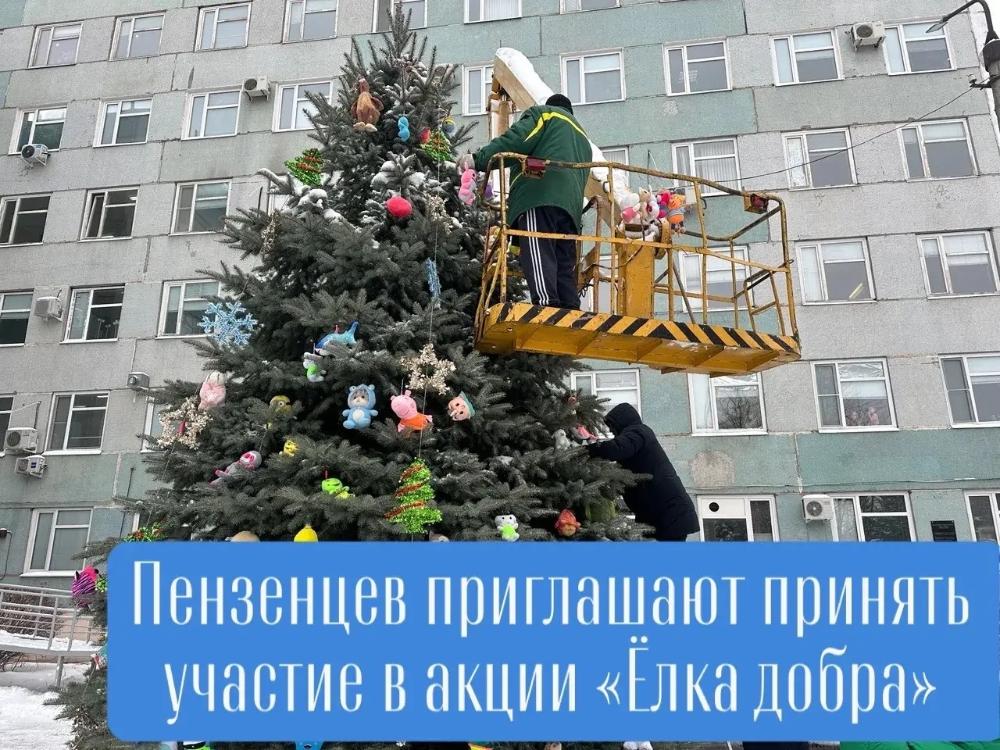 Пензенцев приглашают принять участие в акции «Елка добра»